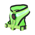 Step-in Air Dog LED Harness - All Weather Mesh Reflective No Pull Harness for Small Medium Dogs Cats - Secure Buckle D-Ring Rechargeable Water Resistant (Green Large)